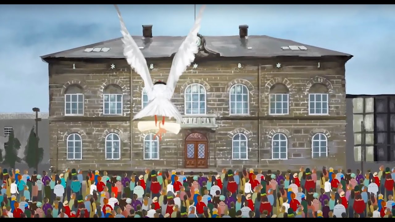 Video on Iceland's constitutional reform process
