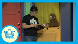 Big Idea Experience - Initiative