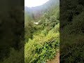 Reels Munni Badnam Hui