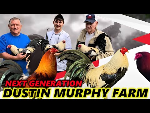 Dustin Murphy Next Generation Beautiful Big Farm USA