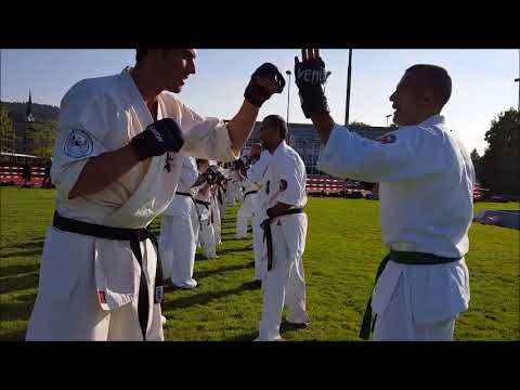 Tomodachi Seminar 2017 sensei Valeri Dimitrov