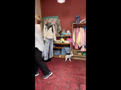 Live du Jeudi 12 février