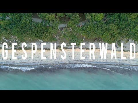 Fototour Gespensterwald Nienhagen