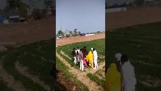 Haryana mewat sexy videos