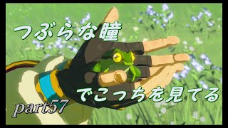 【ゼルダの伝説ブレスオブザワイルド】だんだんとゼルダ姫が可愛く見えてくる【実況プレイ】part57
