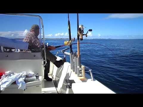 Norwegen 2018 | Naturköderangeln