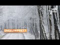 Vanavond op kans op de eerste echte sneeuw van deze winter