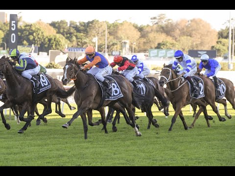 2020 Doncaster Mile | Nettoyer