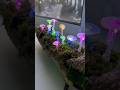 Mushroom lights✨ #shorts #diycrafts #mushroomlights #diy #nightlight #hotglue