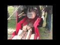 Видео Дровокол (гидравлический станок для колки дров) Japa 385