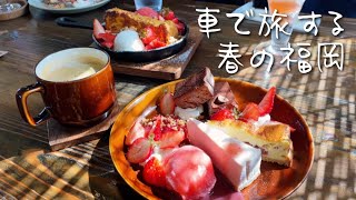 相棒と行く福岡糸島の春を満喫する旅｜2025年3月の旅