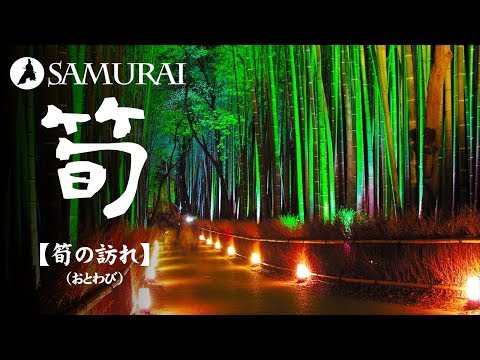 【和風BGM】尺八 琴 三味線が奏でる ほのぼの系BGM『筍の訪れ by おとわび』（フリーBGM）
