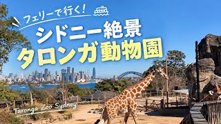 【シドニー観光】フェリーで行くタロンガ動物園|絶景と動物を楽しむ🐨🦒見どころ・所要時間・園内の様子を紹介