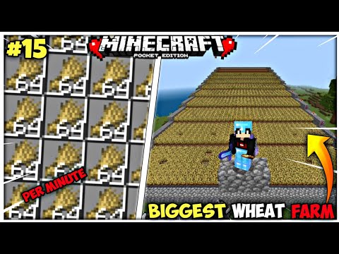 i make biggest wheat farm in Minecraft pe #15😱|| Minecraft pocket edition survival series