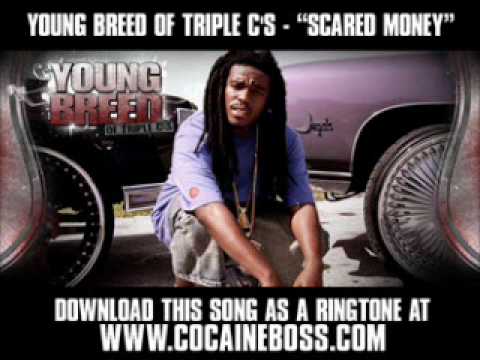 YOUNG BREED OF TRIPLE C'S - "SCARED-MONEY" [ New Video + Lyrics + Download ]