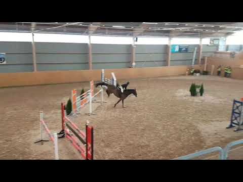 Humaril 130 cm debut  17/11  Ronneby horse center