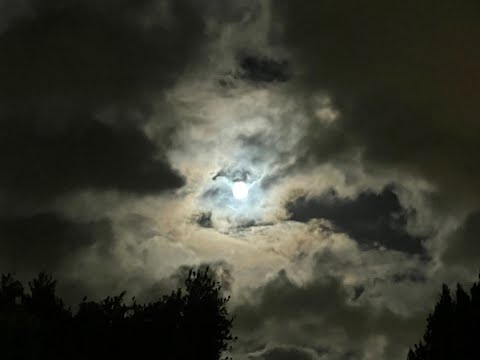 BEAUTY IN CHAOS - THE OUTSIDE (ACOUSTIC) ft. ASHTON NYTE (AURAL JOURNEY)