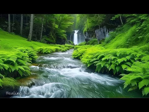 Deep Relaxation Therapy🌿 Healing Music with Nature Sounds, Stress Relief Music, Calm the Mind