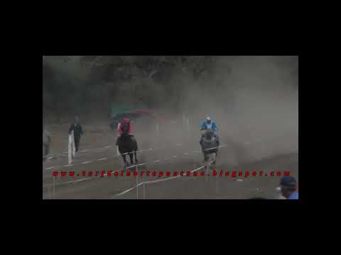 Don Inca, Pozo del Tala (10-4-22)