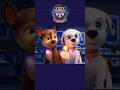 PAW Patrol Pups Get NEW Mighty Super Powers Shorts