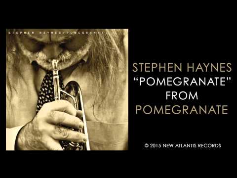 Stephen Haynes - Pomegranate (AUDIO)