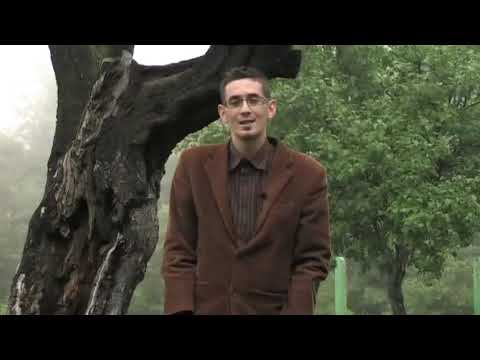 Allah zna šta je za nas dobro - Damir ef.  Babajić