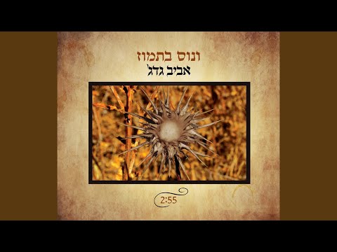 Video thumbnail for Venus Betamuz - ונוס בתמוז