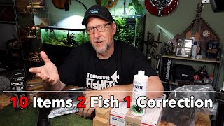 10 Items 2 Fish 1 Correction