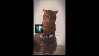 Download lagu bentar lagi reset season 😂 || story wa mobile legends keren #mobilelegends #mlbb #shorts mp3