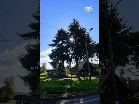 Belleza Sureña: Lautaro - Perquenco II 🏔️✨
