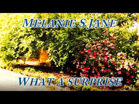 Melanie S Jane  - What a surprise