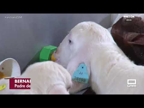 A livestock company in Las Mesas reinvents itself with ready-made products