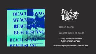 Beach Slang - Wasted Daze of Youth
