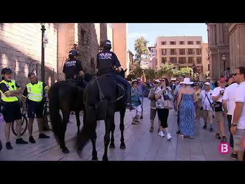 La Plataforma contra els megacreuers demana tenir veu en la moratòria d’aquests vaixells