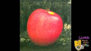 Little Wings "Black Grass"