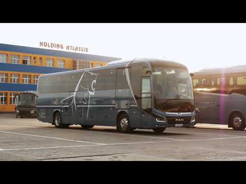 COACH OF THE YEAR 2020   MAN Lion's Coach