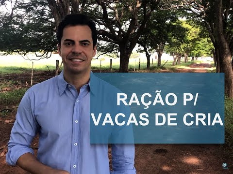 , title : 'RECEITA DE RAÇÃO PARA VACAS DE CRIA'