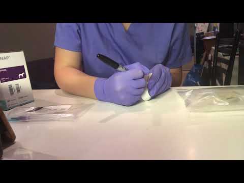 YouTube video about: How much is a snap test for dogs?