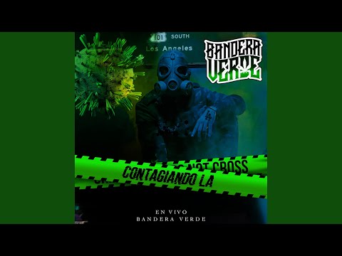 Un Frisian Llamado El Centenario