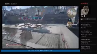 アサシンフェスティバルで検証などなど