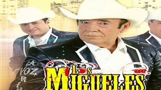 La Rana, Miguel Y Miguel, Letra Y Acordes, Tutorial