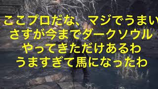 HUDを消したらムズ過ぎるwww