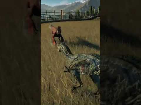 Velociraptor VS Pyroraptor | Jurassic World Evolution 2 | Dominion Biosyn Expansion #shorts