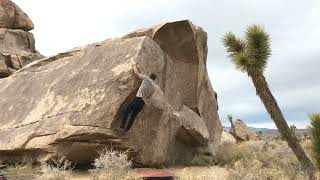 Video thumbnail of Blort, V4. Joshua Tree
