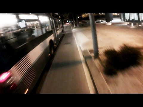 STCP não cumpre a lei