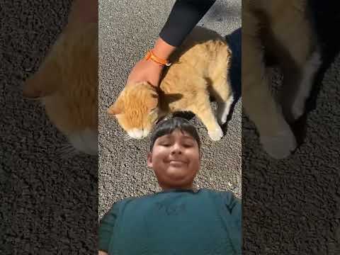 my cat in it #icyranzz