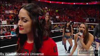 Download lagu The Bella Twins MV - Bad Blood mp3