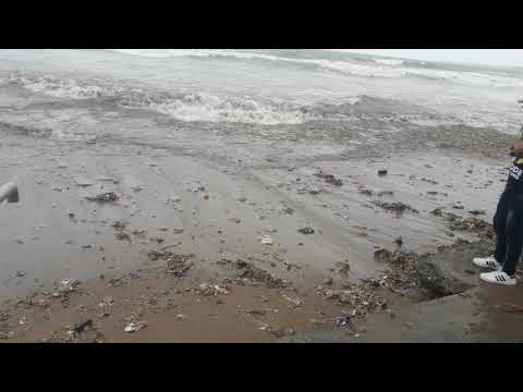 download lagu mp3 mp4 Chandan Juhu, download lagu Chandan Juhu gratis, unduh video klip Chandan Juhu