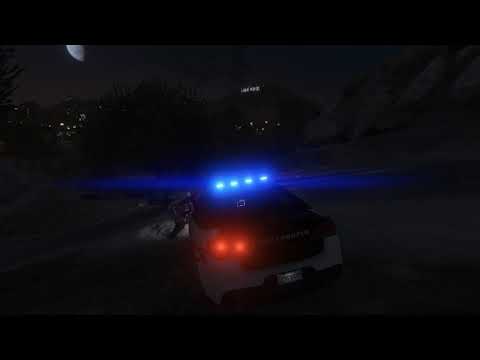 LSPDFR - Robbery In Progress - GTA V