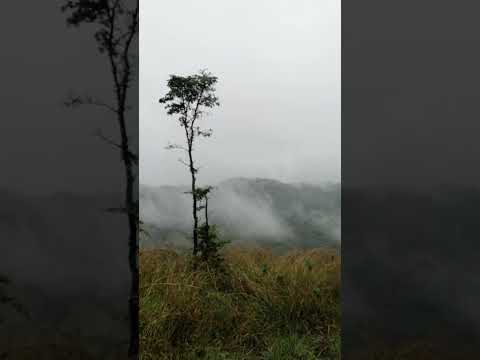 ❤️🇬🇹Ruta interesante que conecta Panzós y Cahabon Alta Verapaz Guatemala 🇬🇹🌎